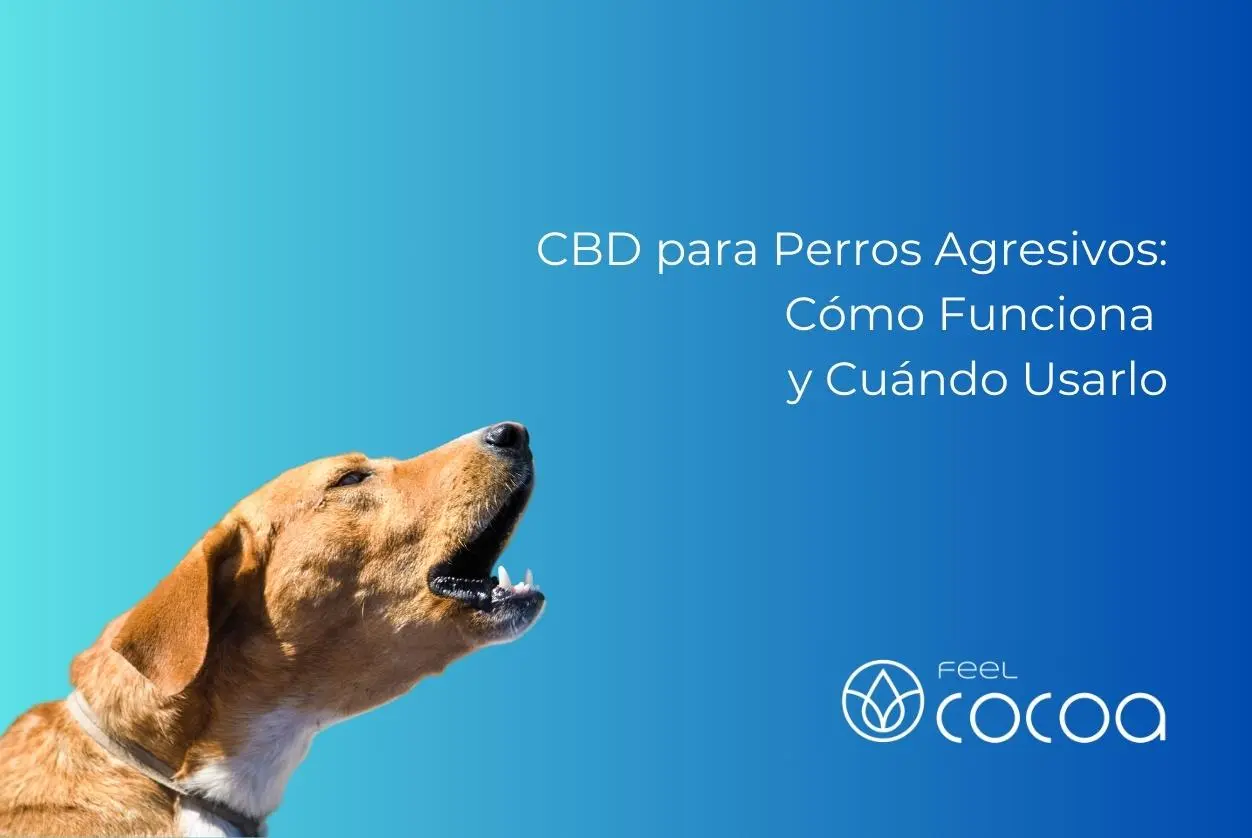 Perro tomando CBD