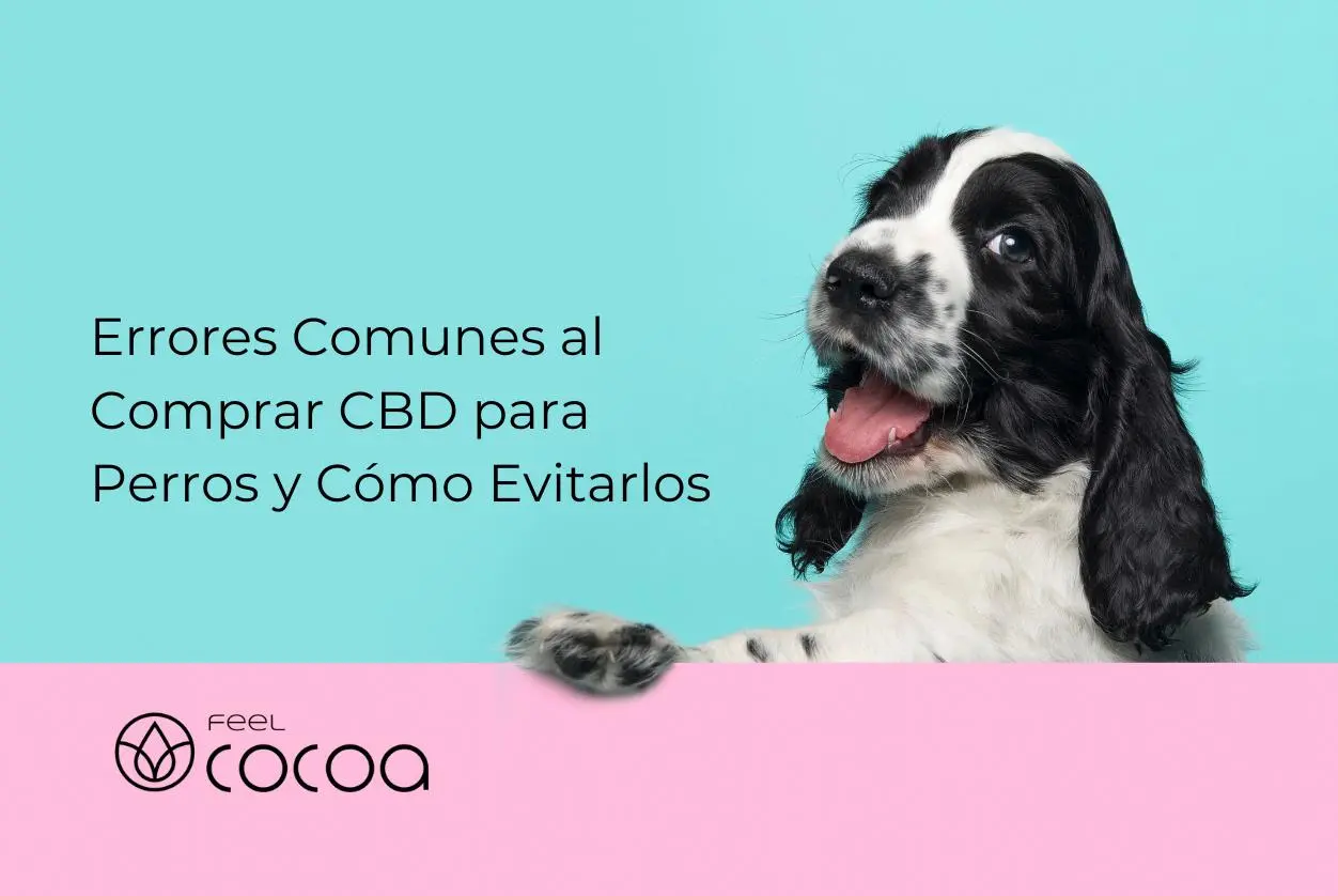 Perro tomando CBD